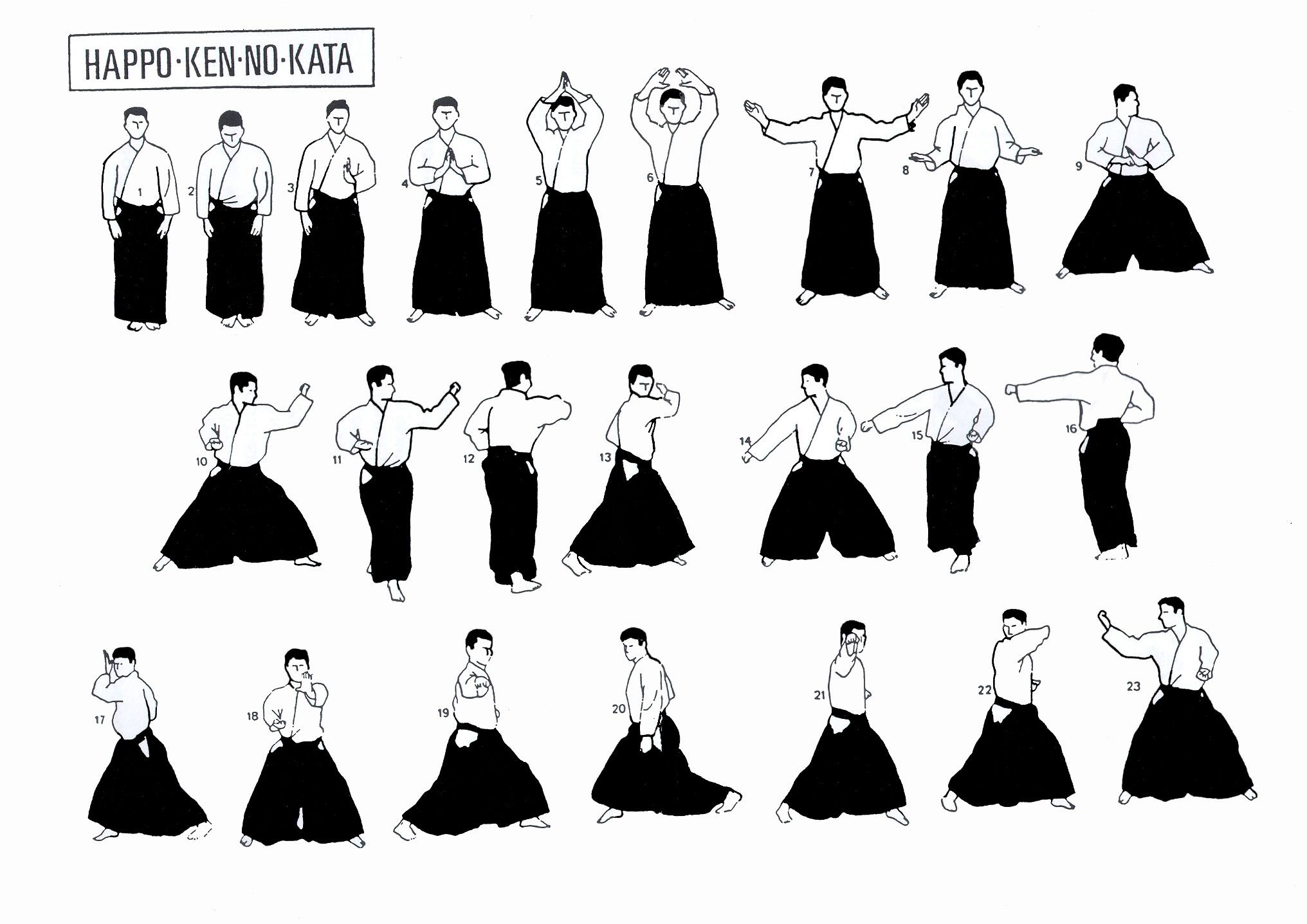 aikido moves pdf