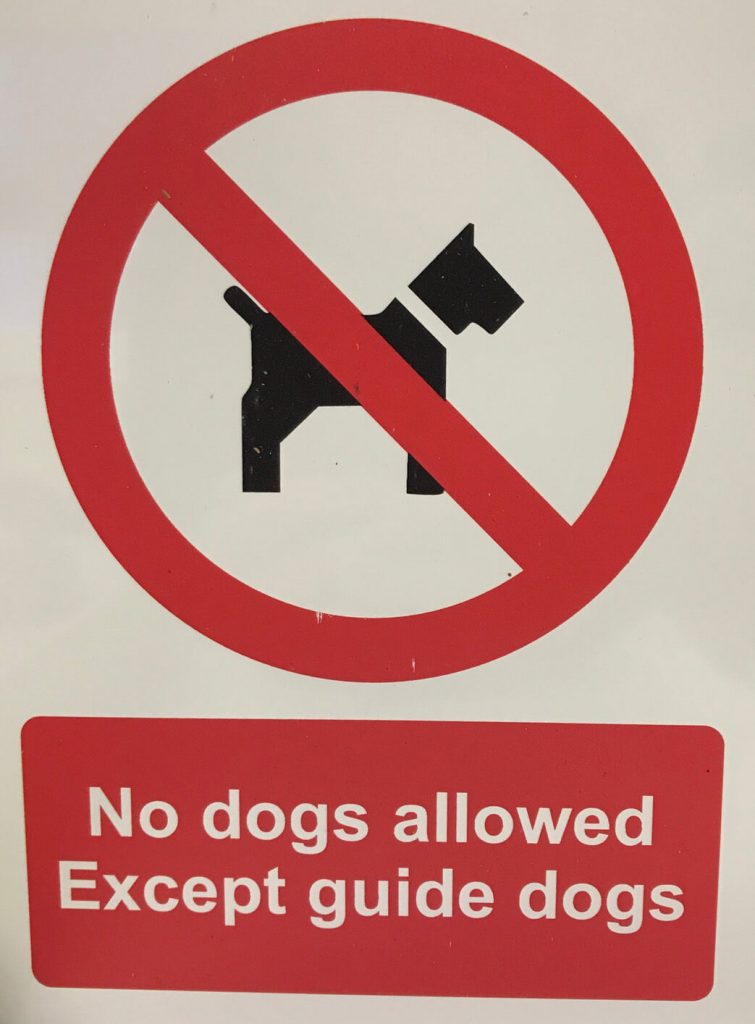 are you allowed to pat guide dogs