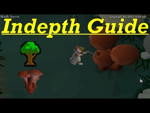 cooking guide osrs 2018