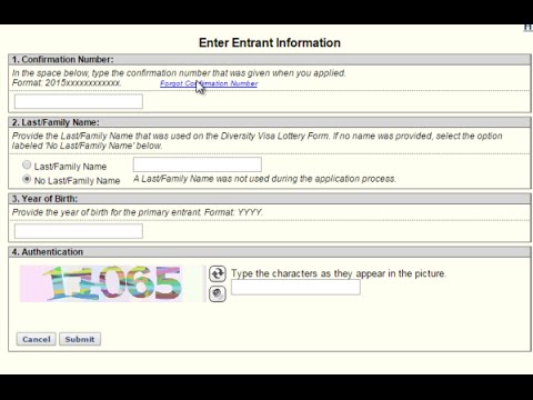 confirmation electronic diversity visa application entry system