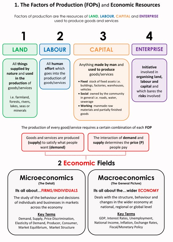 capital and labour studies in the labour process pdf