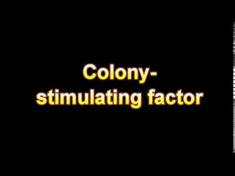 colony dictionary definition