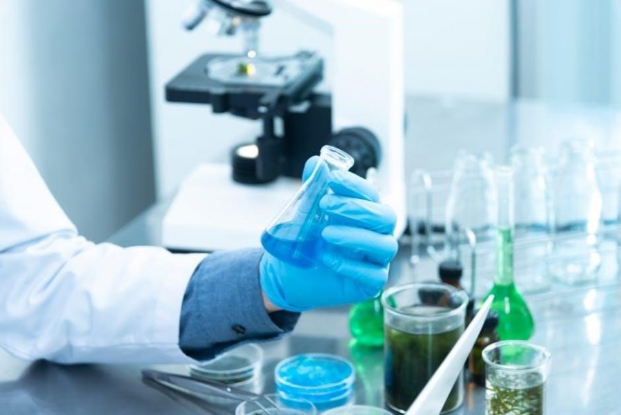lab glassware names and pictures pdf