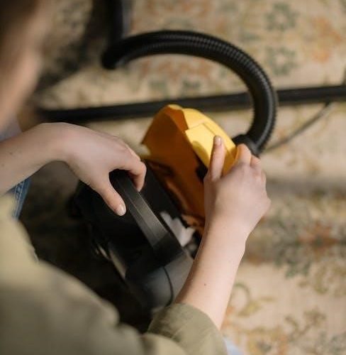dyson dc24 vacuum cleaner manual