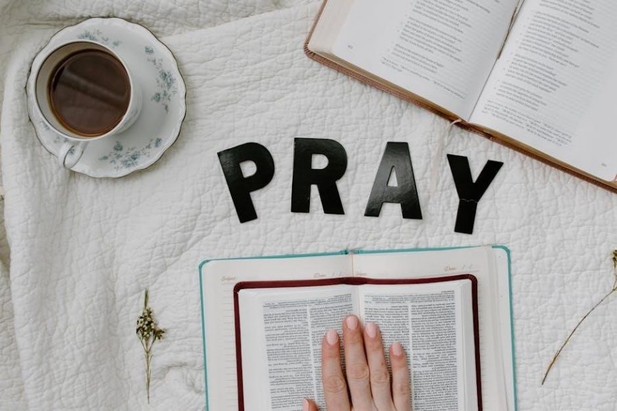 bible study guide kjv