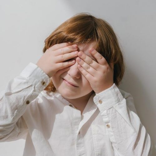 childhood autism rating scale pdf free download