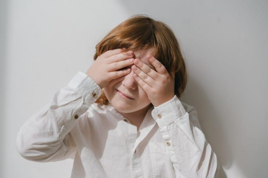childhood autism rating scale pdf free download