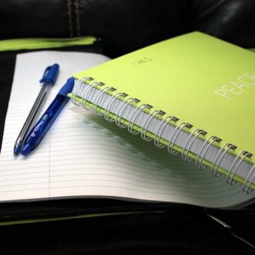 the bedford guide for college writers 13th edition