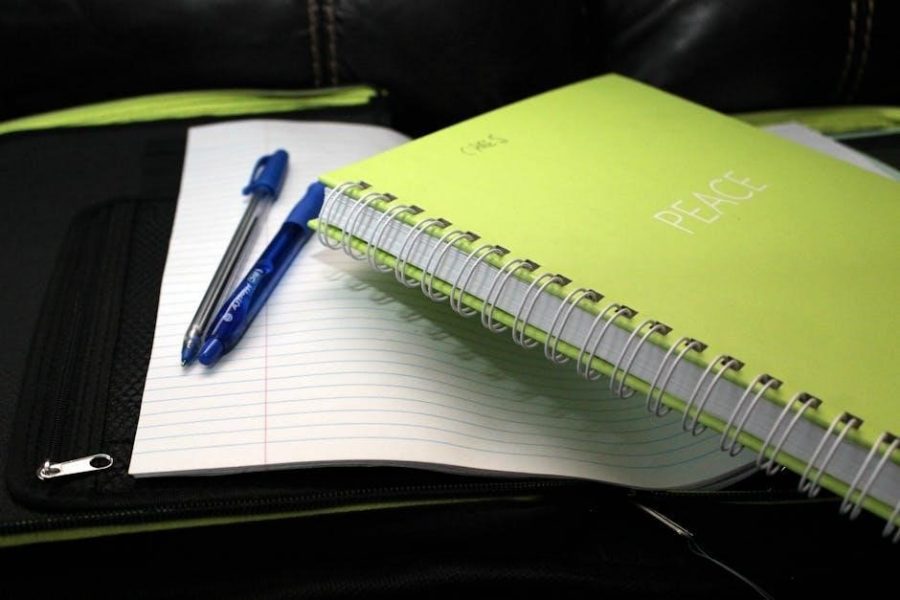 the bedford guide for college writers 13th edition