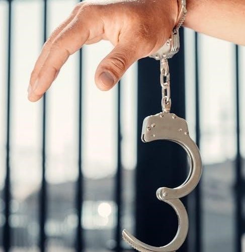 contemporary criminal law 6th edition pdf free