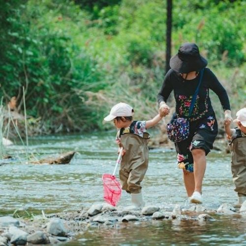 osrs ironman fishing guide